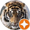 Delphine S. profile picture